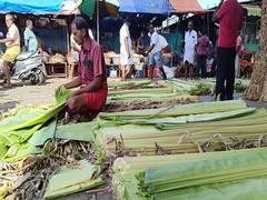 
      
      Tamil Nadu: Prices of banana leaves shoot up on Ganesh Chaturthi
      
      