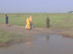 
      
      Search operation underway in Bahraich to catch remaining 2 wolves
      
      