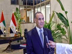 
      
      Egyptian FM emphasises privileged relations with UAE
      
      