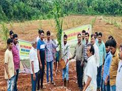 
      
      Over 17 lakh oil palm saplings planted in a plantation drive
      
      