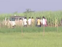 
      
      Bahraich: Wolves still at large as authorities ramp up capture ef
      
      