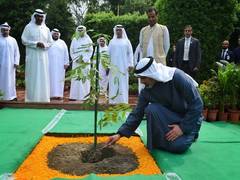 
      
      Abu Dhabi crown prince plants sapling at Rajghat
      
      