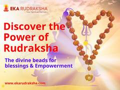
      
      The Ultimate Source for Authentic Rudraksha is now Online
      
      