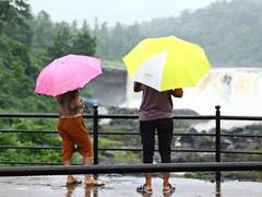 
      
      Gujarat’s Dang becomes nature lover’s paradise amid monsoon
      
      