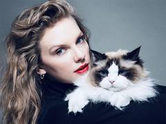 
      
      Taylor Swift endorses Kamala Harris
      
      