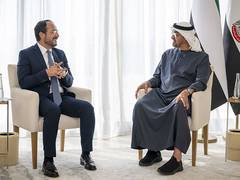 
      
      UAE and Cyprus Presidents discuss cooperation 
      
      