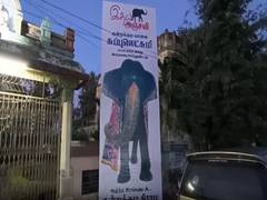 
      
      Tamil Nadu: 54-year-old temple elephant succumbs to fire injuries
      
      