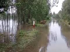 
      
      Heavy rains in UP causes floods in low-lying villages 
      
      