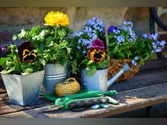 
      
      Exploring the Positive Effects of Gardening and Floral Therapy
      
      
