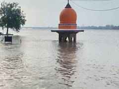 
      
      Water in Yamuna and Ganga rivers decreases; leaves behind algae
      
      