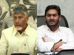 
      
      Tirupati Prasad Controversy: YSRCP moves High Court
      
      
