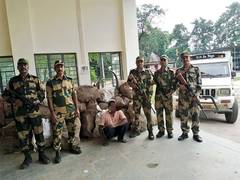 
      
      Meghalaya: BSF seizes buffalo horns, liquor along Indo-Bangladesh
      
      