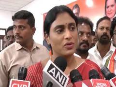 
      
      YS Sharmila seeks CBI probe on Tirupati Prasad row
      
      