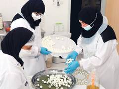 
      
      World Congress on Rehabilitation 2024 kicks off Monday
      
      