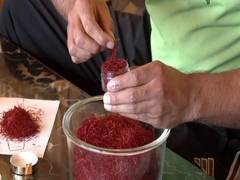 
      
      Saffron in peril: Kashmir's golden harvest threatened
      
      