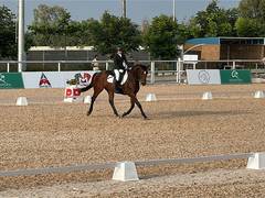 
      
      Taarini Lodha clinches gold in EFI Concours De Dressage Nat'l
      
      