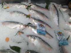 
      
      Bangladesh approves Hilsa fish export to India for Durga Puja
      
      