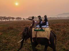 
      
      World Rhino Day: PM Modi recalls his visit to Kaziranga Park
      
      