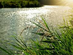 
      
      Interlinking river projects to offer business opportunities
      
      