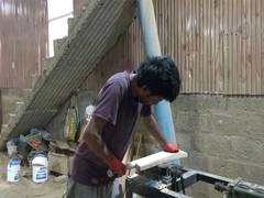 
      
      Crisis looms over Kashmir's cricket bat industry as willow trees 
      
      