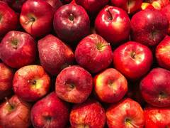 
      
      Himachal Pradesh Apple Farmers Call for Immediate Action to Raise
      
      