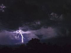 
      
      IMD issues rainfall and thunderstorm warnings
      
      
