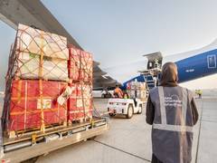 
      
      Dubai Humanitarian airlifts critical medical supplies to Gaza
      
      