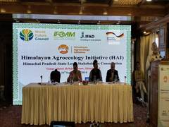 
      
      Day-long workshop held to design roadmap for HAI 
      
      
