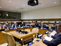 
      
      IBSA ministers reiterate commitment to work for expansion of UNSC
      
      