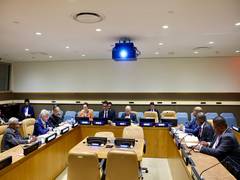 
      
      IBSA push for collective efforts against terrorism
      
      