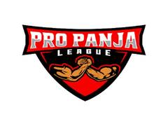
      
      Pro Panja League season 2 to be postponed
      
      