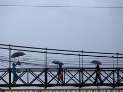 
      
      Nepal cancels all domestic flights till Saturday morning 
      
      