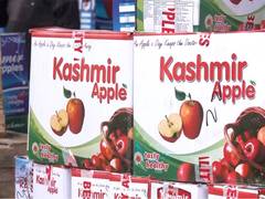 
      
      Apple growers in Sopore demand cold storage, trade tax waiver
      
      