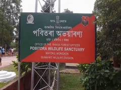 
      
      Assam: Biker dies after being attacked by rhino 
      
      