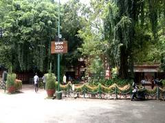 
      
      Three female Hanuman langurs escape from Thiruvananthapuram Zoo
      
      