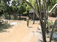 
      
      Floodwater recedes in Kushinagar, health teams begin relief work
      
      