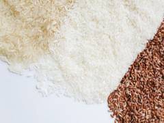 
      
      India: Ease in rice export restrictions lending support to prices
      
      