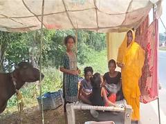 
      
      Flooding displaces Bihar residents; community kitchens set up
      
      