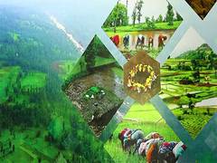 
      
      Gujarat’s Dang: Model for Natural Farming in India
      
      