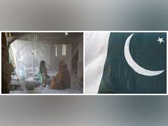 
      
      Mosquito-borne diseases rise in Pakistan amid poor sanitation
      
      