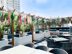 
      
      The Terrace in Ghaziabad and Drink And Dine in Noida Offer Deals
      
      