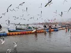 
      
      UP: Prayagraj draws tourists as Siberian birds flock to Sangam
      
      