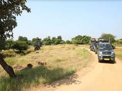
      
      Vikas Saptah: Gujarat's Rise as a Global Tourism Hub
      
      