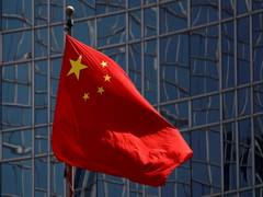 
      
      Daughter of jailed Chinese tycoon appeals President Xi
      
      