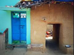 
      
      Monthly income of rural households increased by 57.6 per cent 
      
      