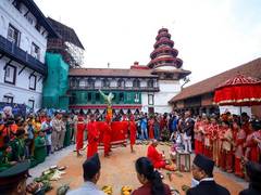 
      
      Nepal observes Phulpati, seventh day of Dashain festival 
      
      