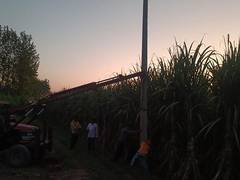 
      
      Electricity pole installed in farmer's field on CM Dhami's orders
      
      
