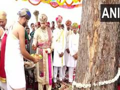 
      
      Mysuru Dasara: Titular king Yaduveer performs Vijaya Dasami puja
      
      
