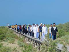 
      
      DEWA plants 4,500 mangrove trees at Jebel Ali Marine Sanctuary
      
      