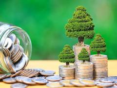 
      
      Global leadership across green finance, sustainable development
      
      